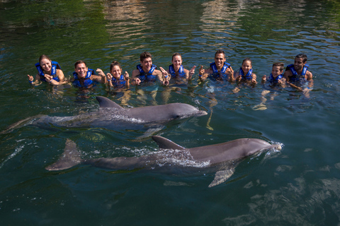 Nadar com golfinhos Splash - Riviera Maya