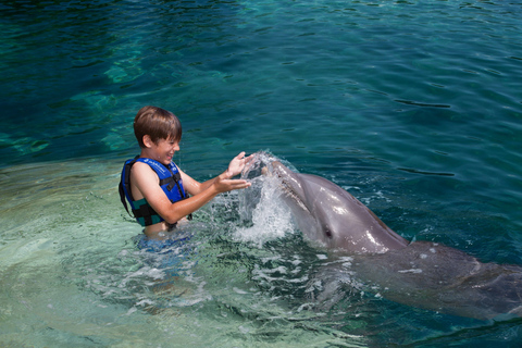 Nager avec les dauphins Splash - Riviera Maya