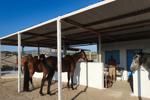 Fira : Excursion à cheval sur la plageSantorin : Excursion à cheval jusqu'à la plage