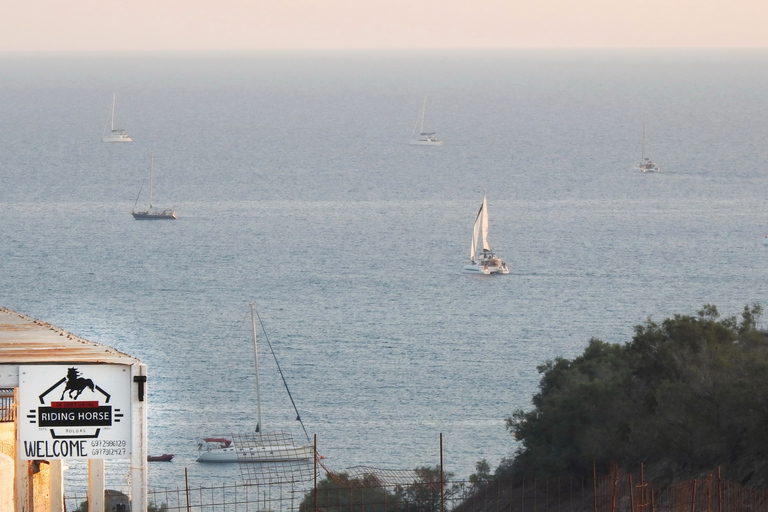 Fira: Reitender StrandausflugSantorini: Reittour zum Strand