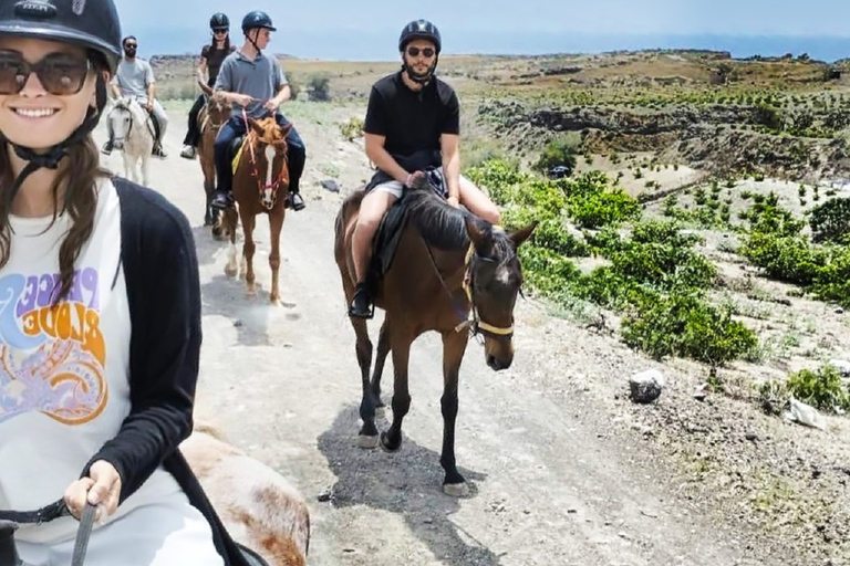 Fira : Excursion à cheval sur la plageSantorin : Excursion à cheval jusqu'à la plage