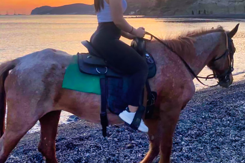 Santorini: Horseback Riding Tour on the Beach 1.5 hours Santorini: Horse Riding Tour 1.5 hours Trails & on the Beach