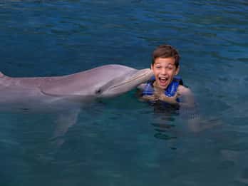 Riviera Maya Paseo nadando con delfines