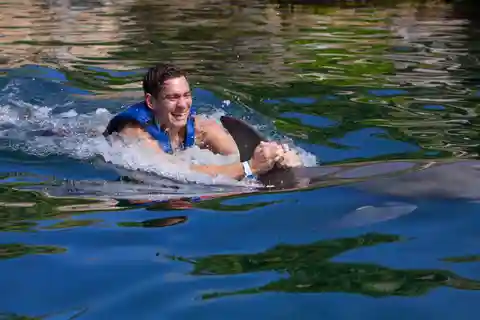 Nager avec les dauphins - Riviera Maya
