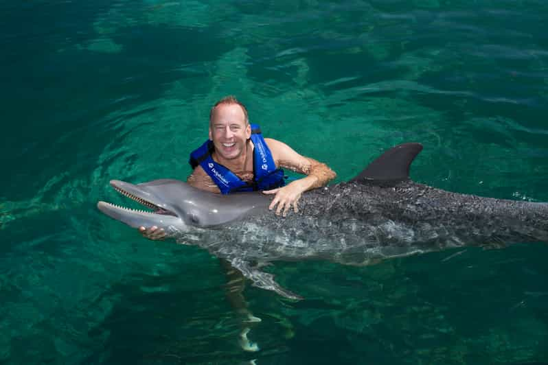 Swim with dolphins Supreme - Riviera Maya | GetYourGuide