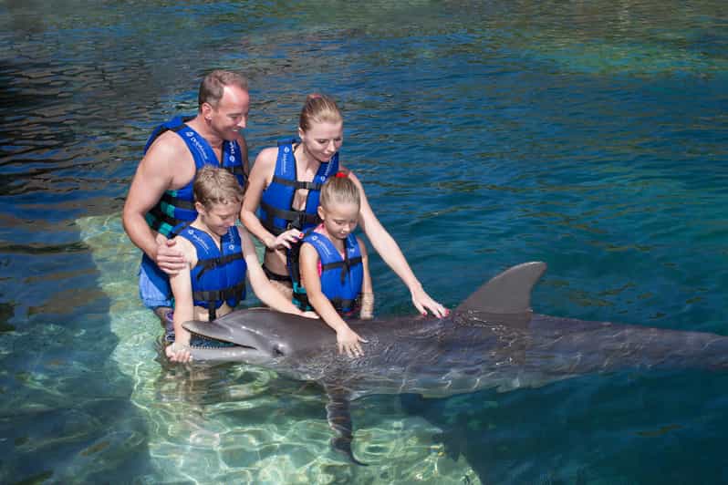Swim with dolphins Supreme Riviera Maya GetYourGuide