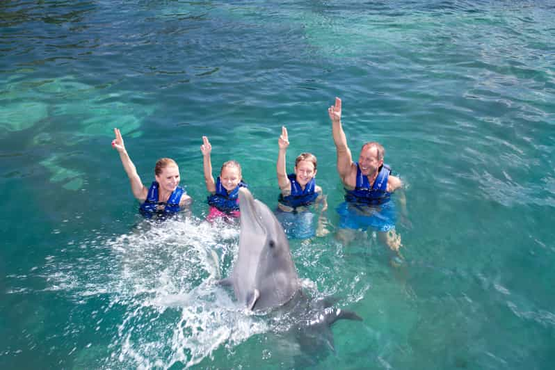 Swim with dolphins Supreme - Riviera Maya | GetYourGuide