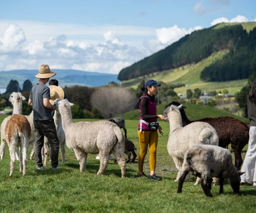 Rotorua: Authentic Kiwi Farm Experience at the Agrodome