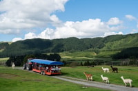 Rotorua, Agrodome Farm Tour mit Show und Produktion Verkostung - Hizvo