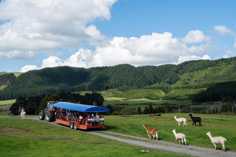 Rotorua: Agrodome-boerderijtour met show- en productenproeverijRotorua: Agrodome boerderij tour met show en proeverij