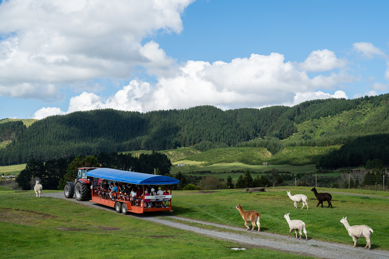 Rotorua: passeio pela fazenda Agrodome com exposição e degustação de produtosRotorua: Tour pela fazenda Agrodome com show e degustação de produtos