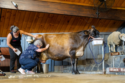 Rotorua: passeio pela fazenda Agrodome com exposição e degustação de produtosRotorua: Tour pela fazenda Agrodome com show e degustação de produtos