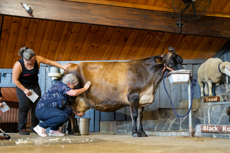 Rotorua: Visita a la Granja Agrodome con espectáculo y degustación de productos