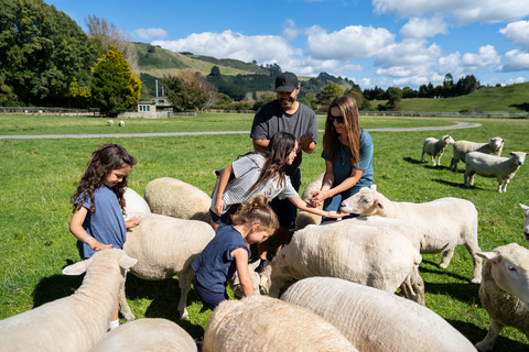 Rotorua: Wycieczka po farmie Agrodome z degustacją pokazów i produktówRotorua: Agrodome Farm Tour z pokazem i degustacją produktów