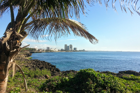 Da Puerto Plata: visita completa di Santo Domingo