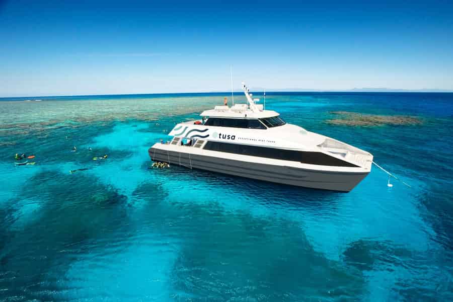 Cairns: Halbtägige Schnorcheltour am Außenriff. Foto: GetYourGuide