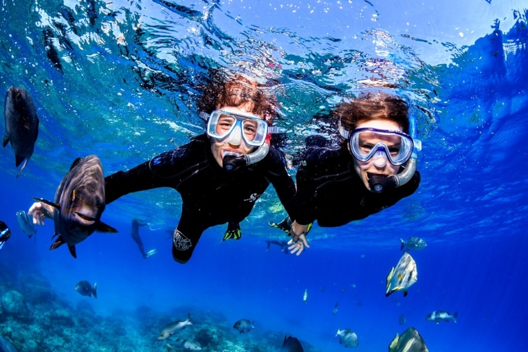 Tusa Reef Tours - Premium Alles Inklusive Great Barrier ReefAlles inklusive Great Barrier Reef Tour