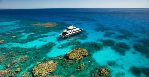 Cairns: Premium Half-Day Outer Reef Snorkel Tour