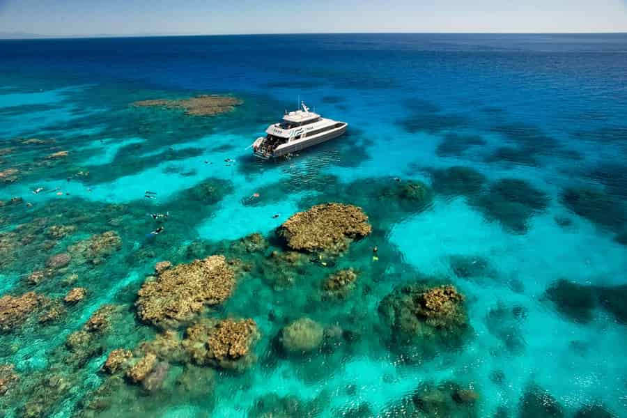 Cairns: Halbtägige Premium-Schnorcheltour im Außenriff. Foto: GetYourGuide Cairns: Halbtägige Premium-Schnorcheltour im Außenriff. Foto: GetYourGuide