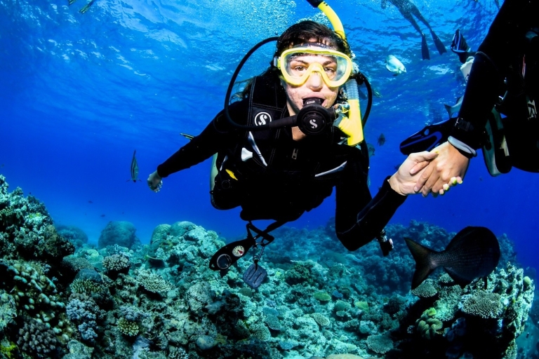 Tusa Reef Tours - premium all-inclusive Great Barrier Reefall-inclusive Great Barrier Reef-tour