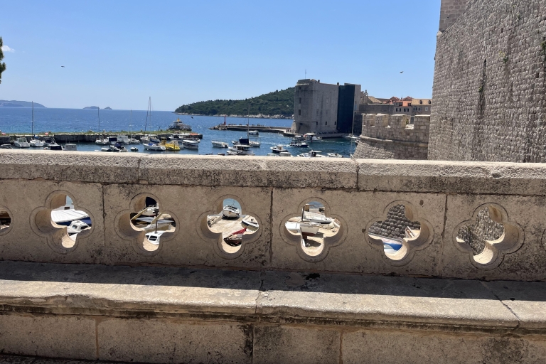 Visita a pie a Dubrovnik con la Antigua Farmacia FranciscanaExcursión Corta a Pie por Dubrovnik