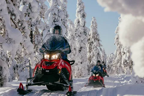 Levi: Safari de 2 horas en moto de nieve por la naturaleza de Levi