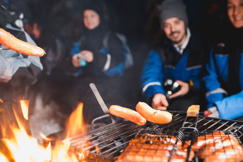 Levi: Snöskotertur med norrsken, snacks och drycker