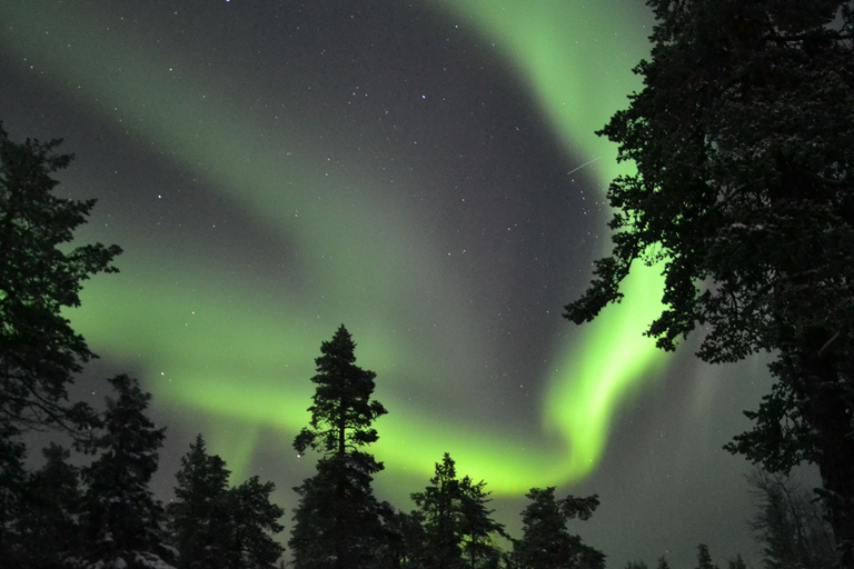 Levi: Excursión en moto de nieve por la Aurora Boreal con aperitivos y bebidas