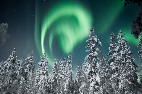 Levi: Excursión en moto de nieve por la Aurora Boreal con aperitivos y bebidas