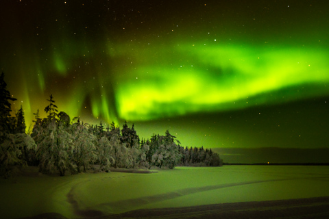 Levi: Excursión en moto de nieve por la Aurora Boreal con aperitivos y bebidas