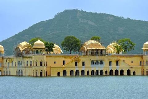 Från Udaipur : Privat transfer till Jaipur via Pushkar