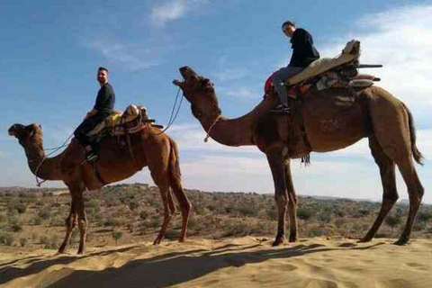 Depuis Udaipur, transfert à Jaisalmer via le temple jaïn de Ranakpur