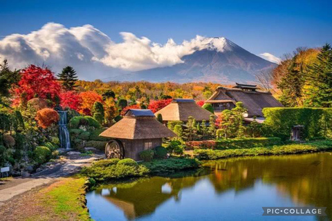 Da Tokyo/Hakone/Fuji: escursione di un giorno a Hakone e al Monte Fuji con servizio di prelievoDa Tokyo/Hakone/Fuji: gita di un giorno a Hakone e al Monte Fuji con ritiro