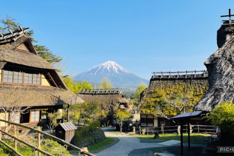 Excursión privada de 12 horas al Monte Fuji