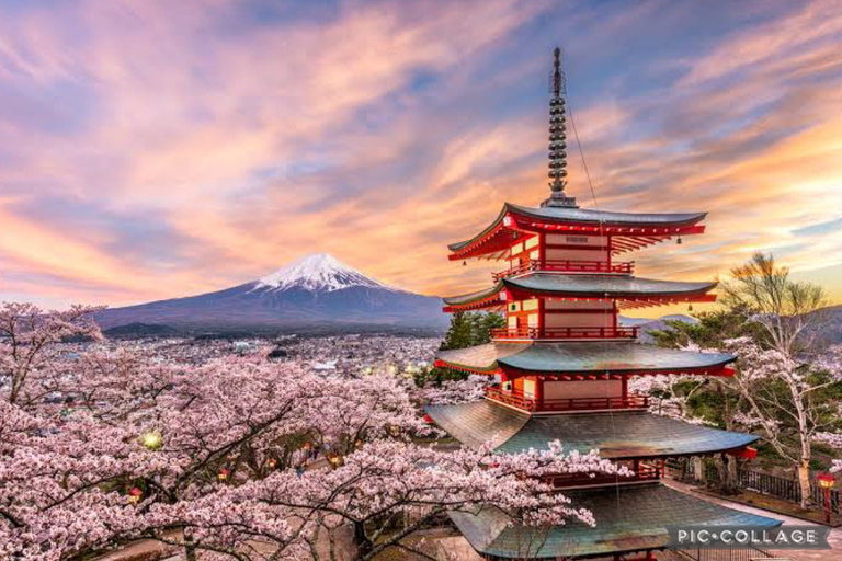 Excursión privada de 12 horas al Monte Fuji