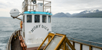Húsavík, visite d'un bateau d'observation des baleines - Hizvo