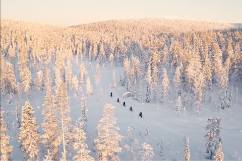 Doświadczenie E-FatBike w małych grupach