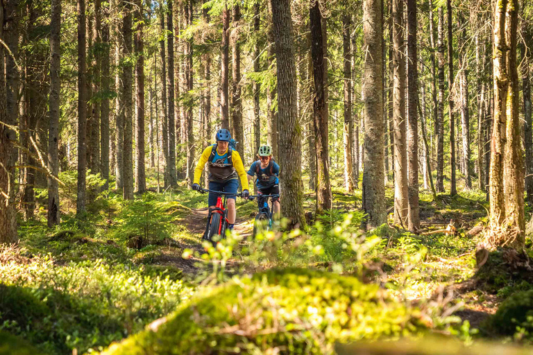 Doświadczenie E-FatBike w małych grupach