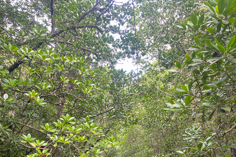 Explorando la Naturaleza de Zanzíbar Excursión de un Día