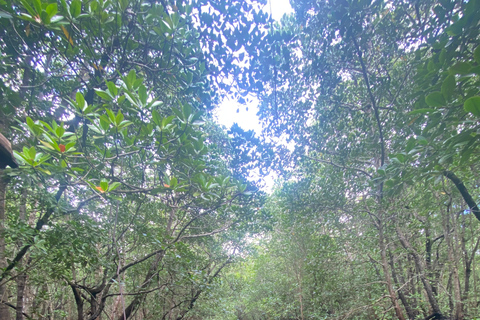 Explorando la Naturaleza de Zanzíbar Excursión de un Día