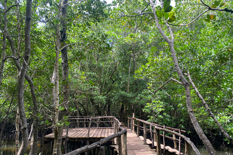 Explorando la Naturaleza de Zanzíbar Excursión de un Día