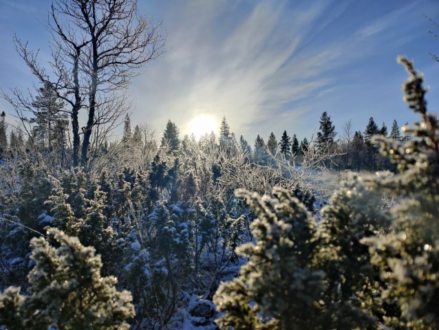Visit Ivalo Winter Short Break in Northern Lapland in Lapland