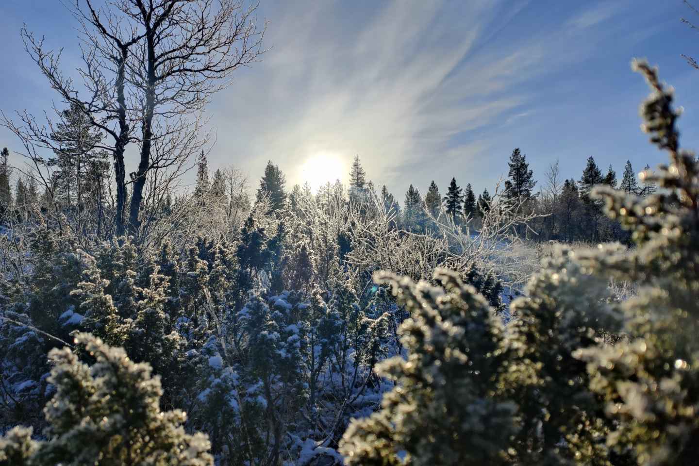 Ivalo: Winter Short Break in Northern Lapland