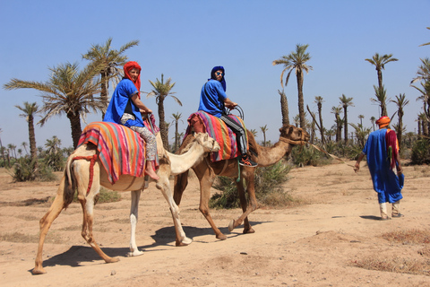 Marrakech: Combo Quad &amp; Camel in the jbilat desert1/2 day of quad and dromedary in the jbilat desert