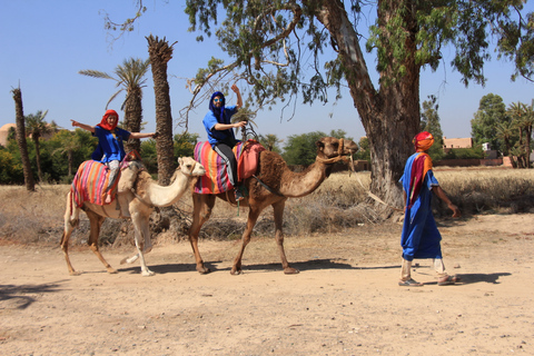 Marrakech: Combo Quad &amp; Camel in the jbilat desert1/2 day of quad and dromedary in the jbilat desert