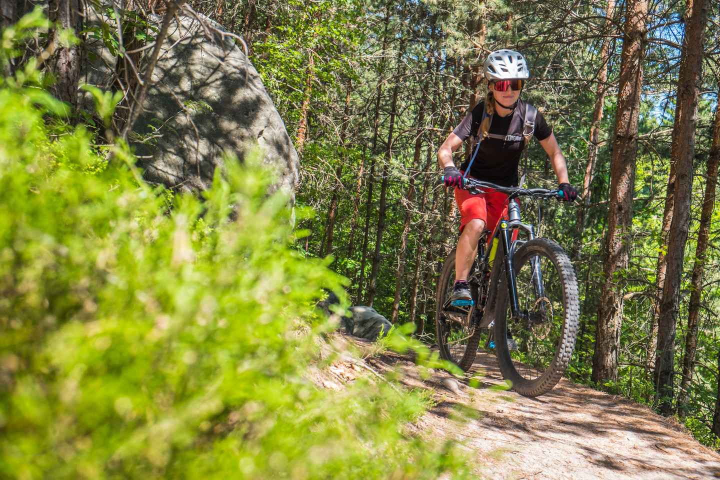 From Prague: E-Mountain Biking Trip to the Bohemian Paradise