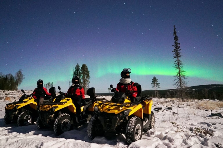 Rovaniemi: tour en quad de la aurora borealOpción estándar