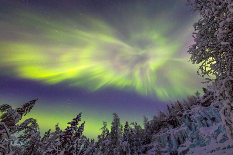 Rovaniemi: Quad Northern LightsOption standard