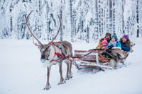 Reindeer Farm Visit with Sleigh Ride - Housity