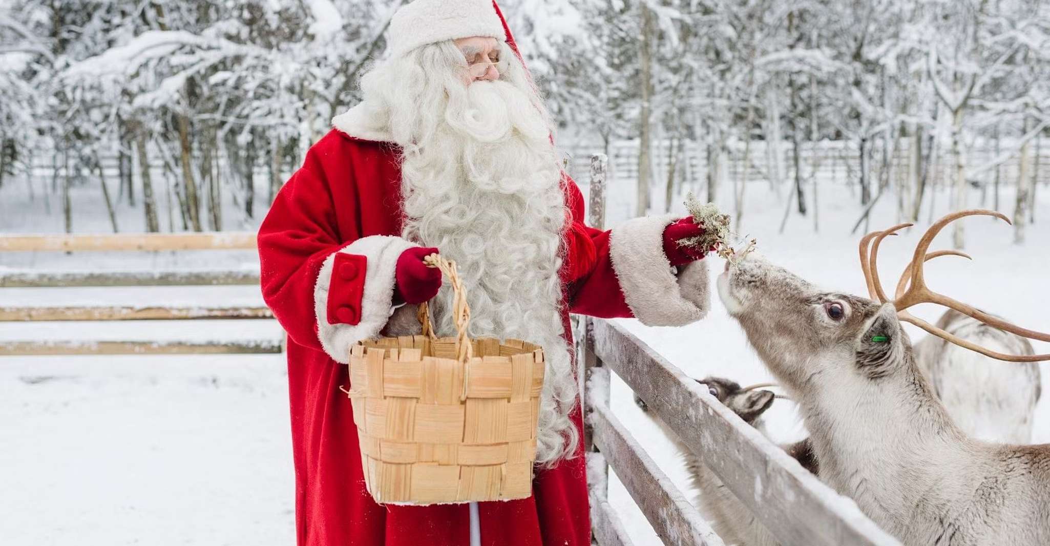 Reindeer Farm Visit with Sleigh Ride - Housity